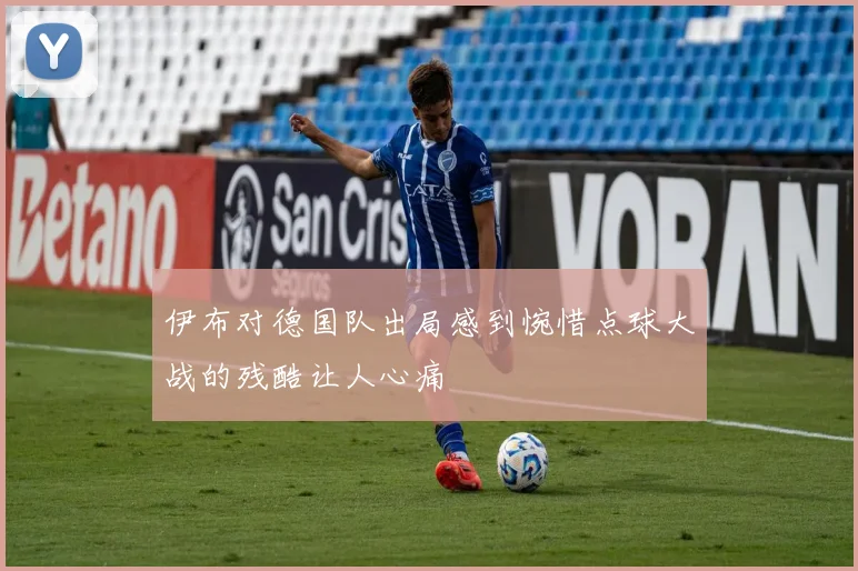 伊布对德国队出局感到惋惜点球大战的残酷让人心痛